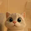 meoomeoow0