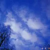 natalya_549