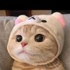 peach.nxd