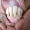 userdbja8ug5c5
