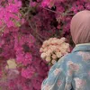 عطر الياسمين