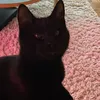 vuyn__