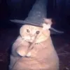 lọ lem hít ke🪽