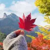 deleteall06