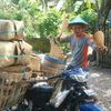 widiyantorooo