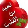 user431373936