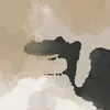 31855916825