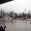 tieutaotau_9093