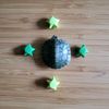 _ruby_the_turtle