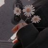 haneen_alshukri