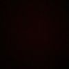 amandine_prisca