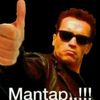 martinus_453