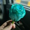hu_44444