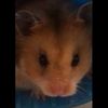 bethanyrose271