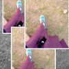 zish.awan
