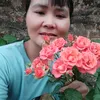 vienhoang1262