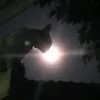 2142264683