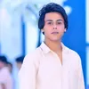 علاوي البصراوي