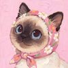 adriana_14.o