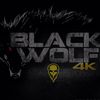 blackwolf4k.world