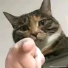 ronaldkjkk__