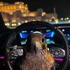 Abdullah Eid🇪🇬