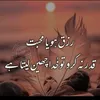 qudratullah6641