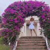 lilydearco