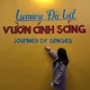 lamquynh1411