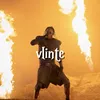 vlinte