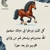 user6104086420486