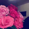 hnxysvnny3