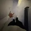 p1nkxns