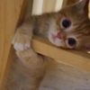 babu_babuuuuuu11