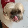 useryv8djvup4j