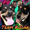 team_kodak