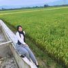 msshesti