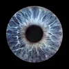 eyewitne55
