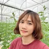 coyentrongdua