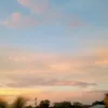 fheralee