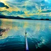 quy2260911