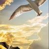 nesreennasser68