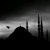Kasb_Kral