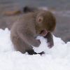 salma111117