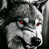 mouhcen.staifi