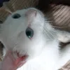 lynnn_js