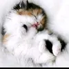 mocyy_123