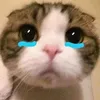 heheheee_07