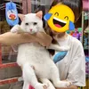 thongocpetshop