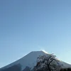 lehuuthai01